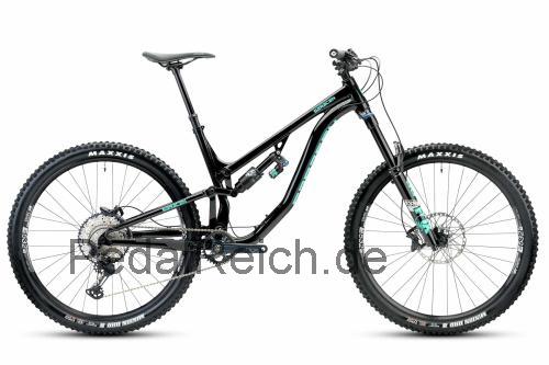 Saracen Ariel 60 Pro  technische daten 